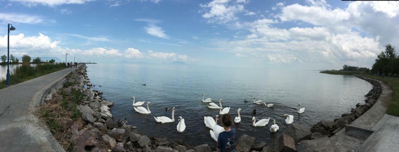 Villa Maximilian Balatonkeresztur Luaran gambar